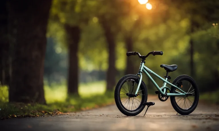 Best 24 Inch Kids Bike (2024 Update)