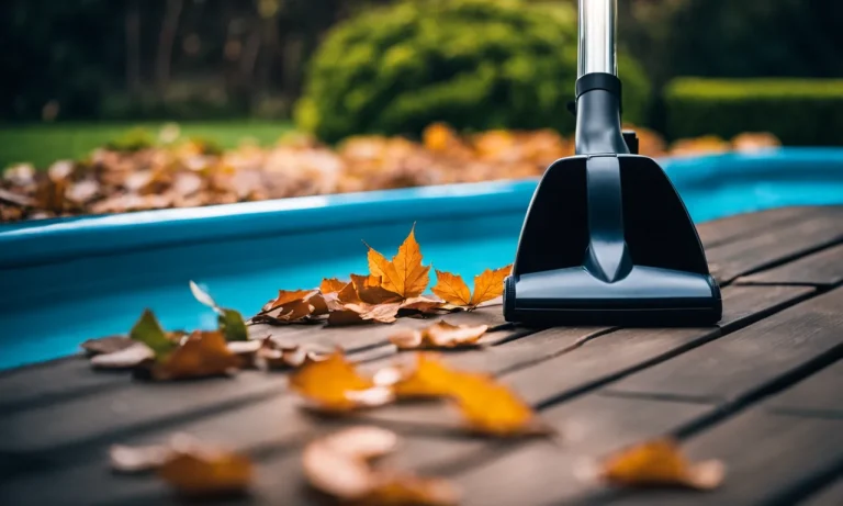 Best Above Ground Pool Vacuum For Leaves (2024 Update)