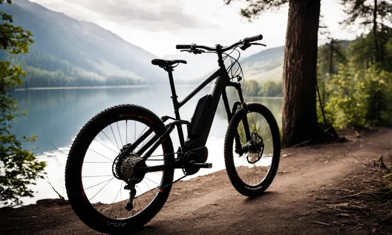 Best Affordable Electric Mountain Bike (2024 Update)