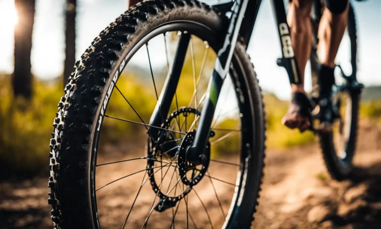 Best All Around Mountain Bike Tire (2024 Update)