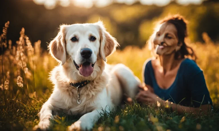 Best Antihistamine For Dogs With Skin Allergies (2023 Update)