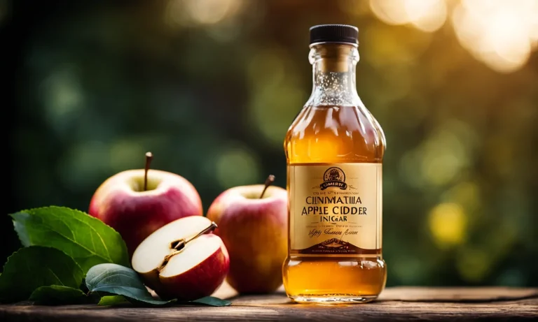 Best Apple Cider Vinegar For Skin (2024 Update)