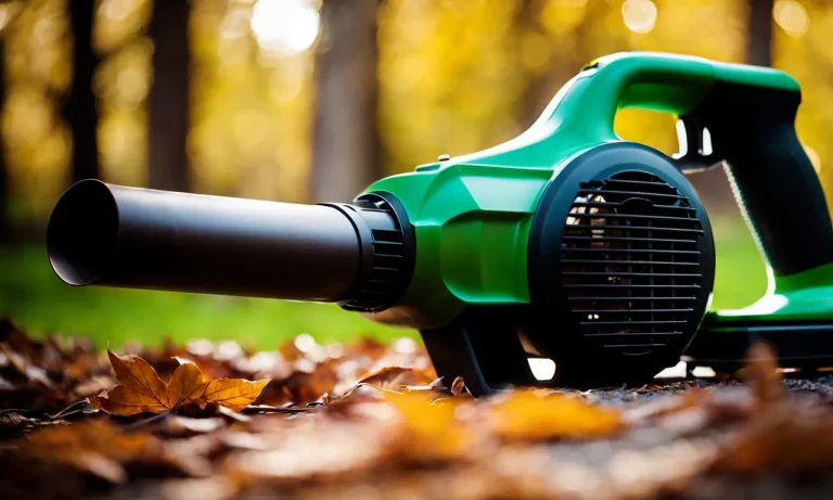 Best Battery Powered Leaf Blower Vacuum (2023 Update)