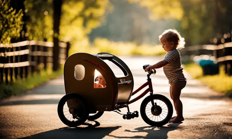 Best Bike Trailer For Baby (2023 Update)