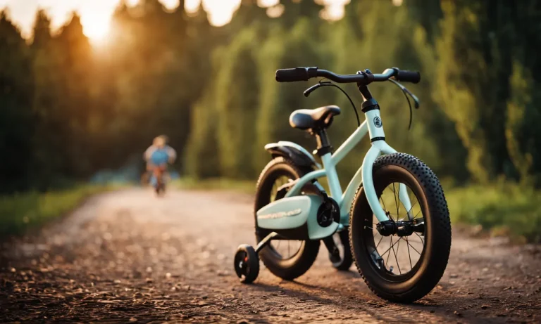 Best Bike Trailers For Kids (2023 Update)