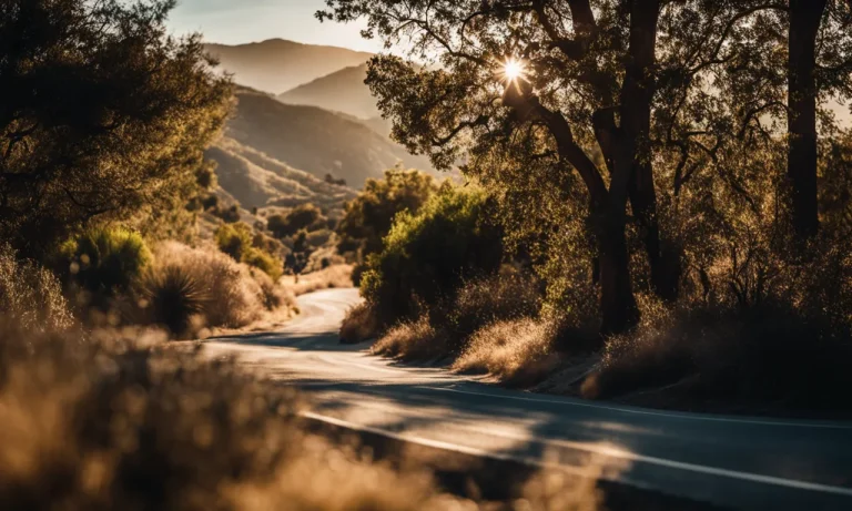 Best Bike Trails Southern California (2024 Update)