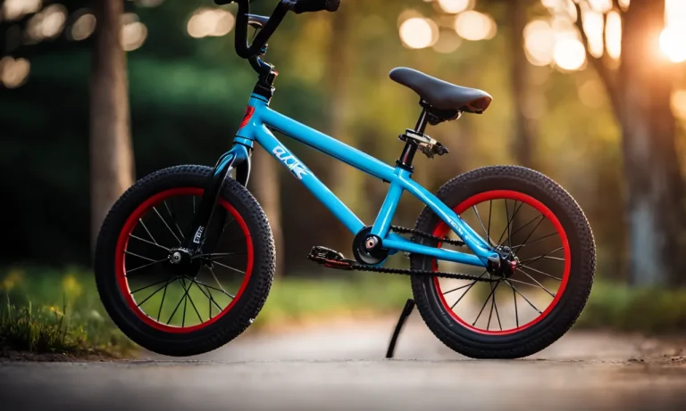 Best Bmx Bike For Kids (2024 Update)