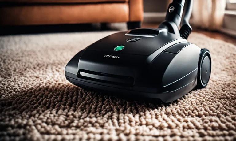 Best Canister Vacuum Cleaner For Carpet (2024 Update)