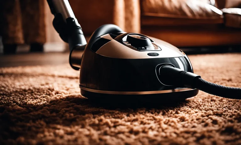 Best Canister Vacuum For Carpets (2024 Update)
