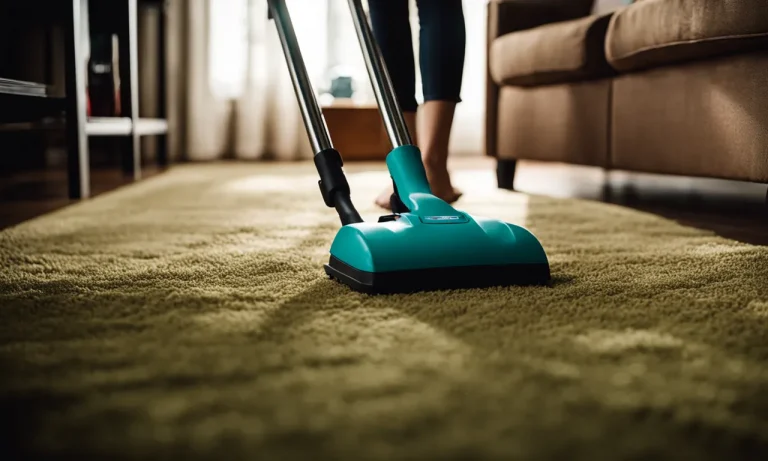 Best Carpet Cleaner For Mold (2023 Update)