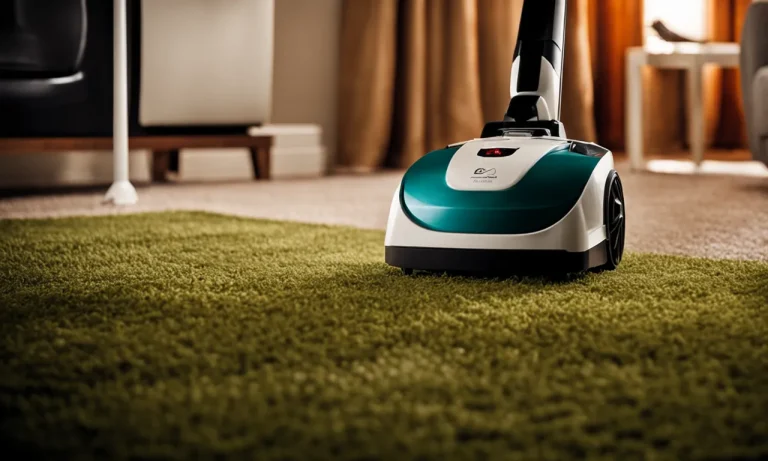 Best Carpet Cleaner For Pet Stains And Odors (2024 Update)