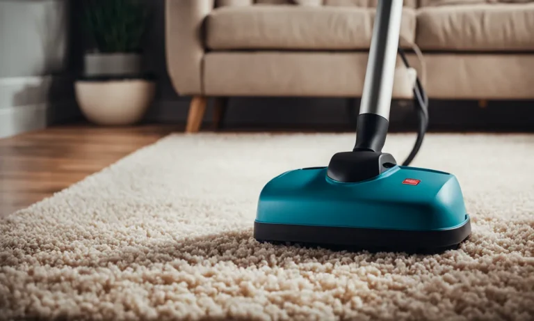 Best Carpet Cleaner For Pets Urine (2024 Update)
