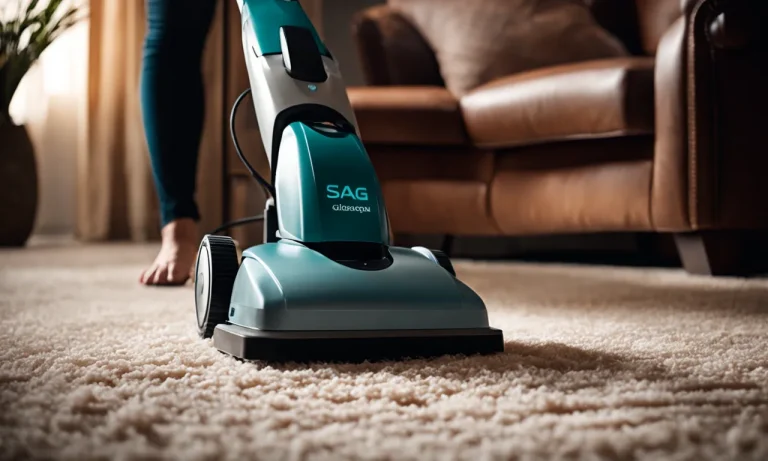 Best Carpet Cleaner For Shag Carpet (2023 Update)