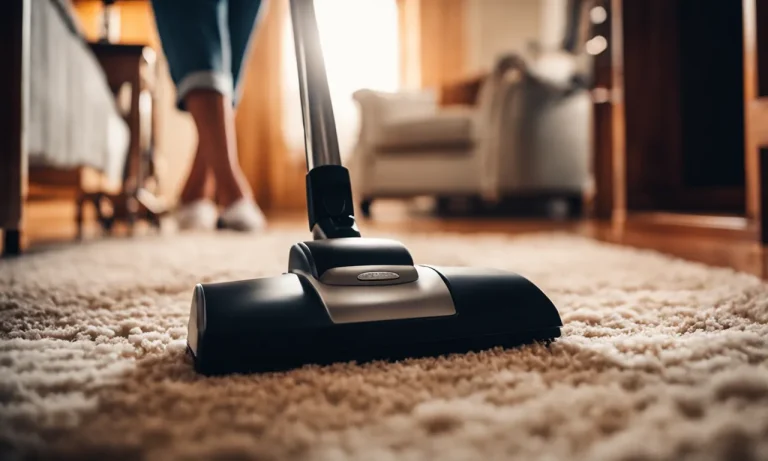 Best Carpet Cleaner San Diego (2024 Update)