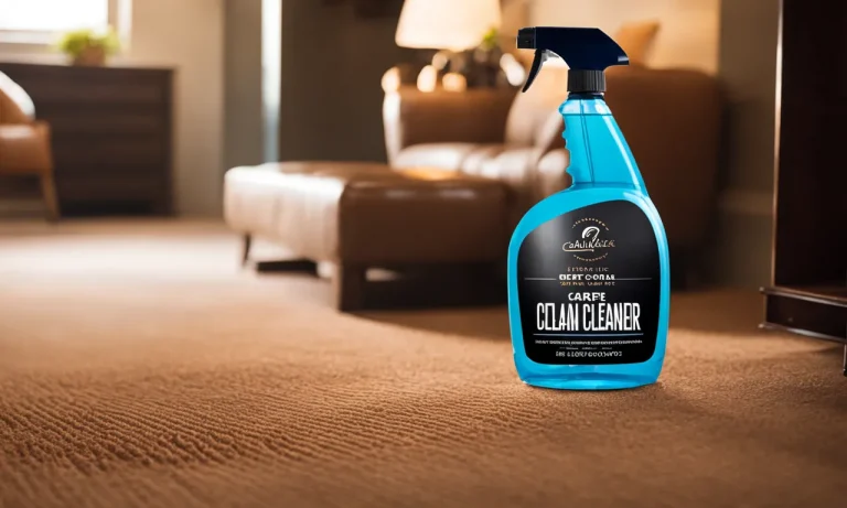 Best Carpet Cleaner Spray For Pet Stains (2024 Update)