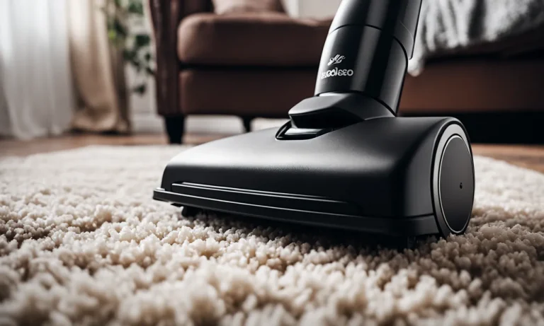 Best Carpet Cleaner Vacuum For Pets (2024 Update)