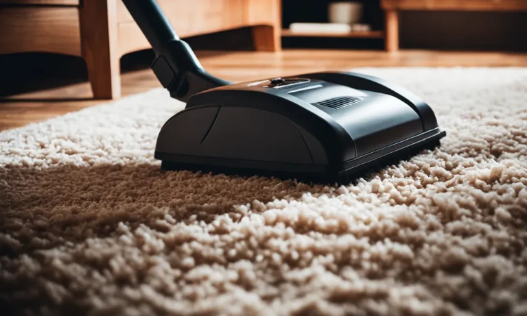 Best Carpet Sweeper For Pet Hair (2024 Update)