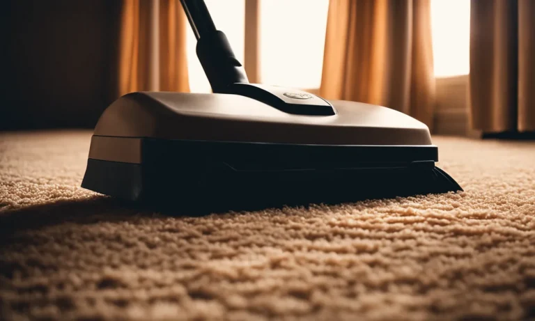 Best Carpet Sweeper Non Electric (2023 Update)