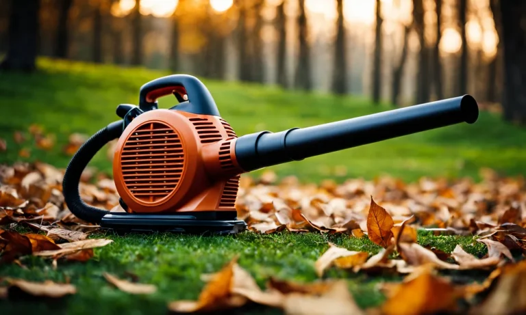 Best Corded Leaf Blower Vacuum (2024 Update)