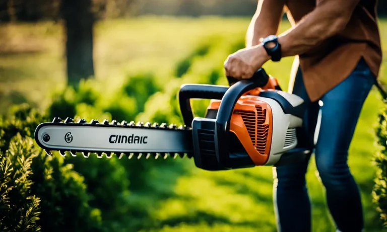 Best Cordless Electric Hedge Trimmer (2024 Update)