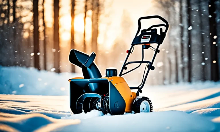Best Cordless Electric Snow Blower (2024 Update)