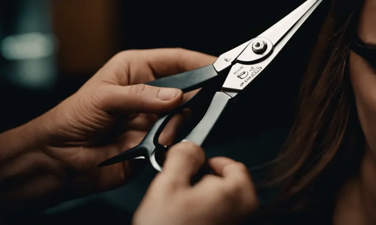 Best Cutting Shears For Hair (2023 Update)