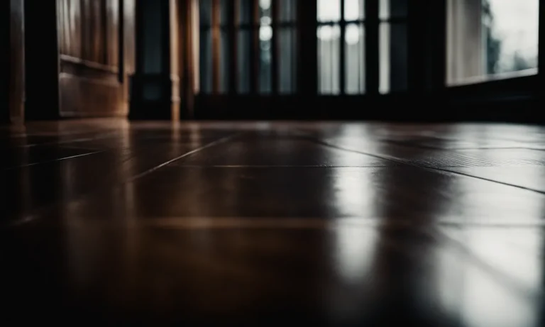 Best Dark Hardwood Floor Cleaner (2024 Update)