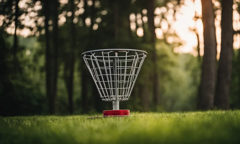 Best Disc Golf Basket For Home (2024 Update)
