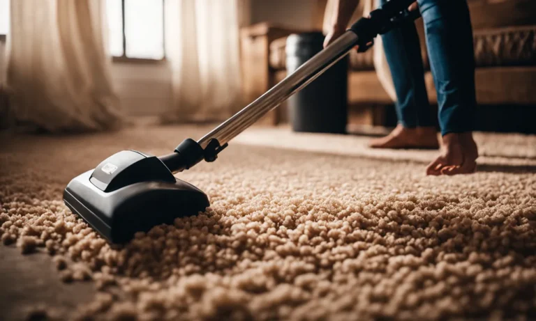 Best Dry Carpet Cleaner Powder (2024 Update)