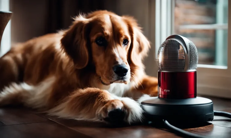 Best Dyson For Pet Hair (2024 Update)