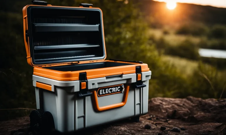Best Electric Coolers For Camping (2024 Update)