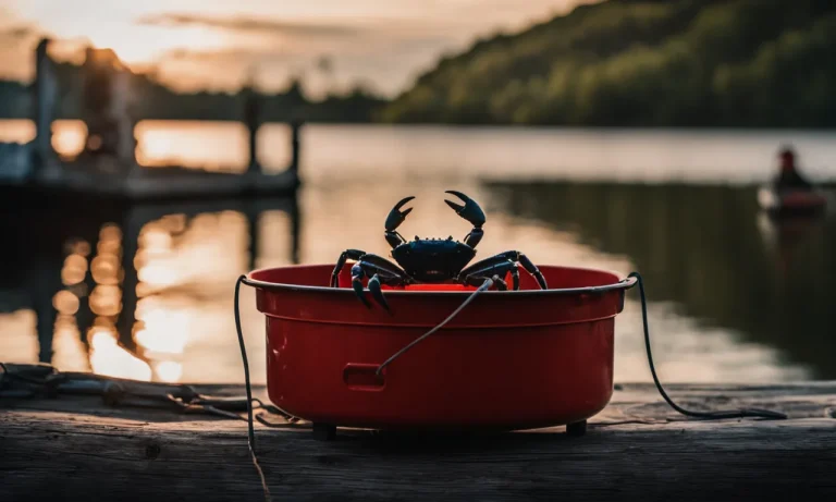 Best Electric Crab Pot Puller (2024 Update)