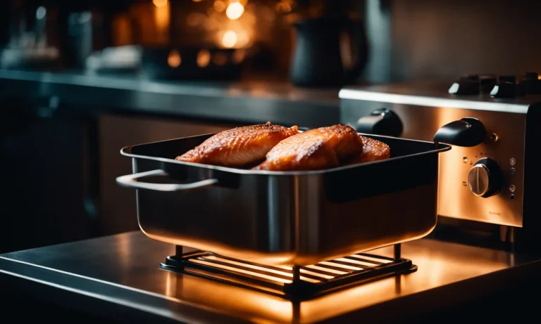 Best Electric Fryer For Fish (2024 Update)