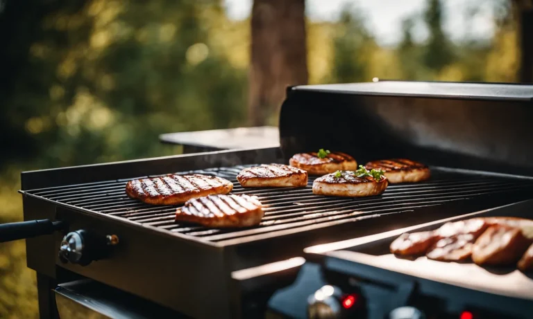 Best Electric Grill Griddle Combo (2024 Update)