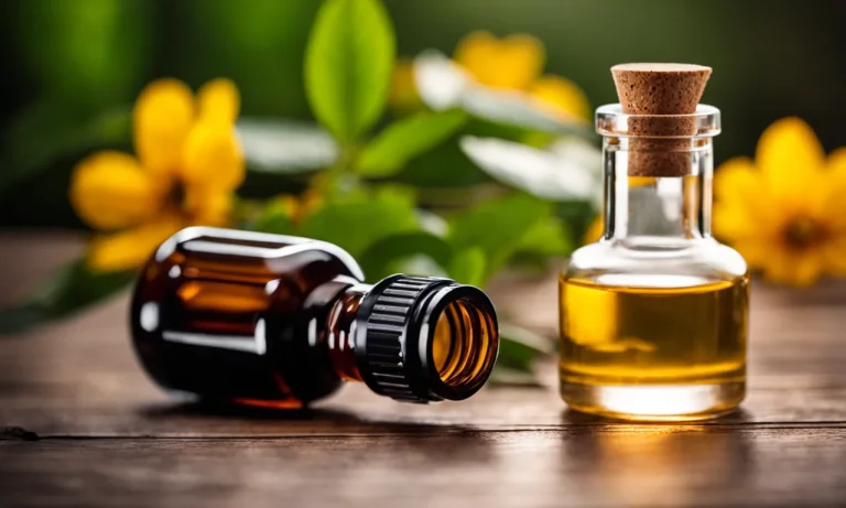 Best Essential Oils For Dry Skin On Face (2024 Update)
