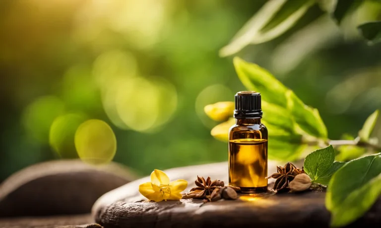 Best Essential Oils For Oily Skin (2023 Update)