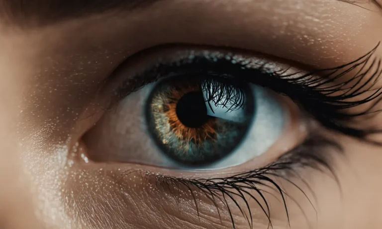 Best Eyeliner For Oily Skin (2025 Update)
