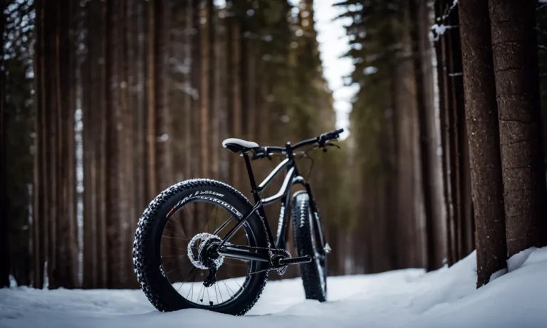 Best Fat Bike Tires For Snow (2023 Update)