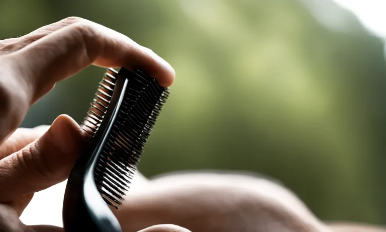 Best Hair Brush To Prevent Hair Loss (2024 Update)