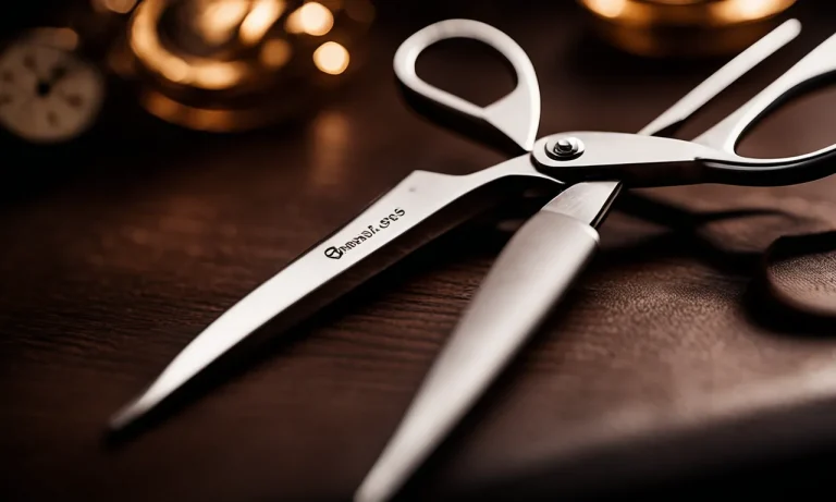 Best Hair Cutting Scissors On Amazon (2024 Update)