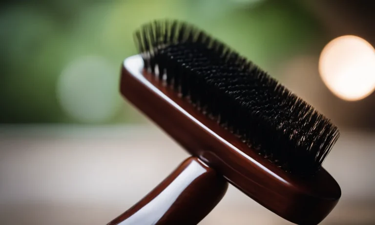 Best Hairbrushes For Thick Hair (2024 Update)