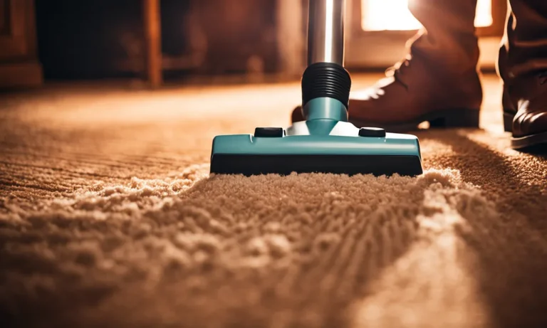Best Homemade Carpet Cleaner For Pet Stains (2023 Update)