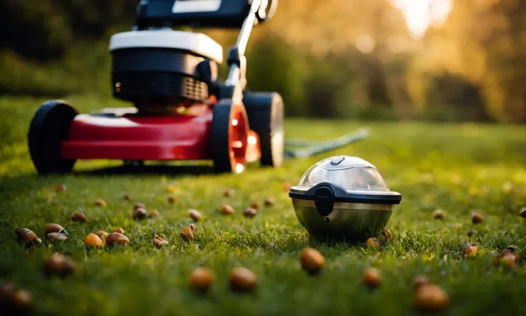 Best Lawn Vacuum For Acorns (2023 Update)