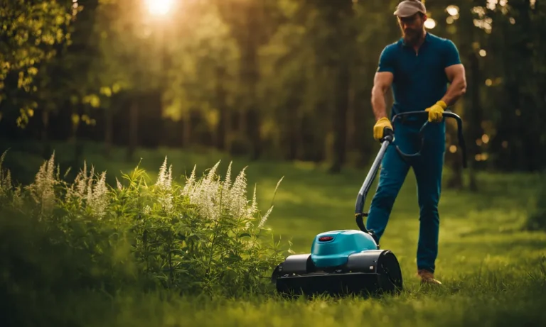 Best Lightweight Electric Weed Eater (2023 Update)