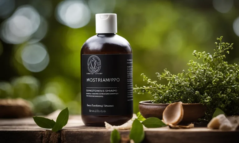 Best Moisturizing Shampoo For Low Porosity Hair (2024 Update)