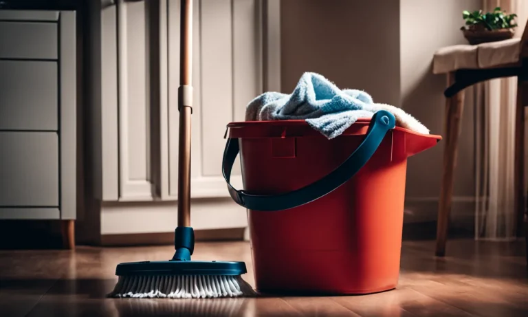 Best Mop Bucket For Home Use (2024 Update)