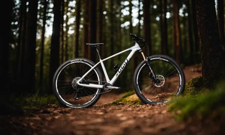 Best Mountain Bike Brands For Beginners (2023 Update)