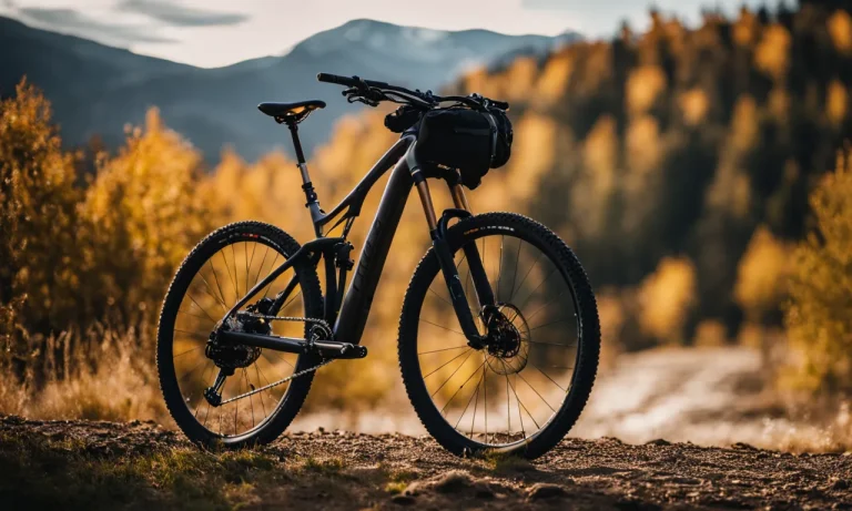 Best Mountain Bike Gear Bag (2024 Update)