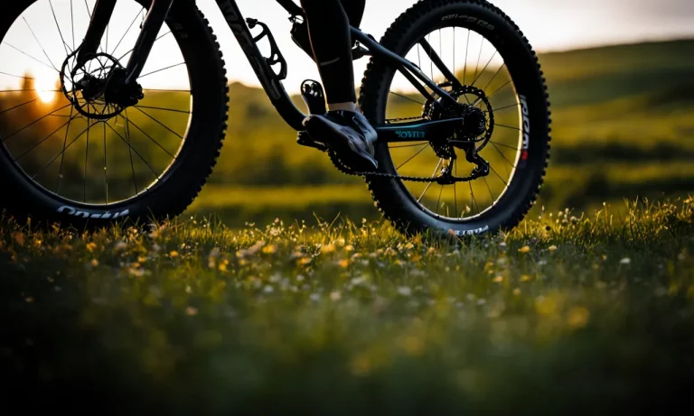 Best Mountain Bike Tire Tubes (2023 Update)
