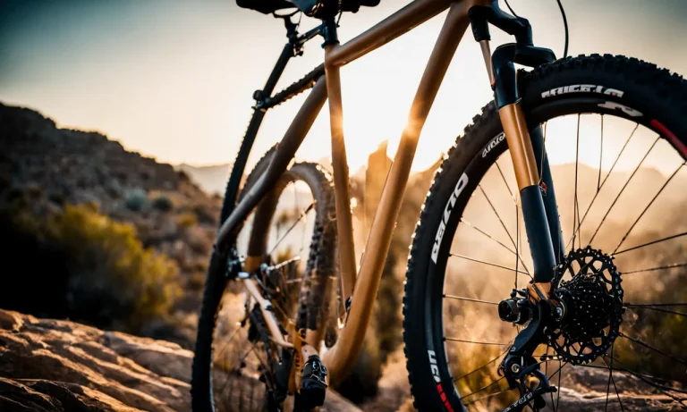 Best Mountain Bike Tires For Arizona (2024 Update)
